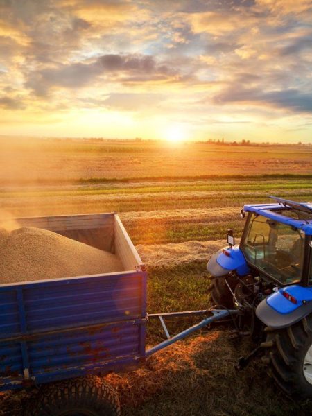 Agriculture Blog