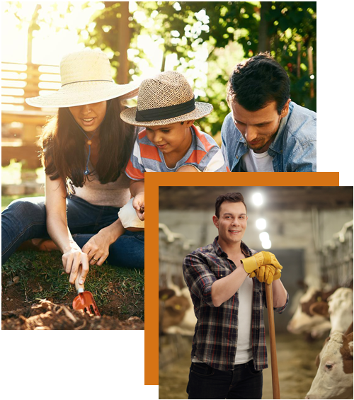 Agriculture Services