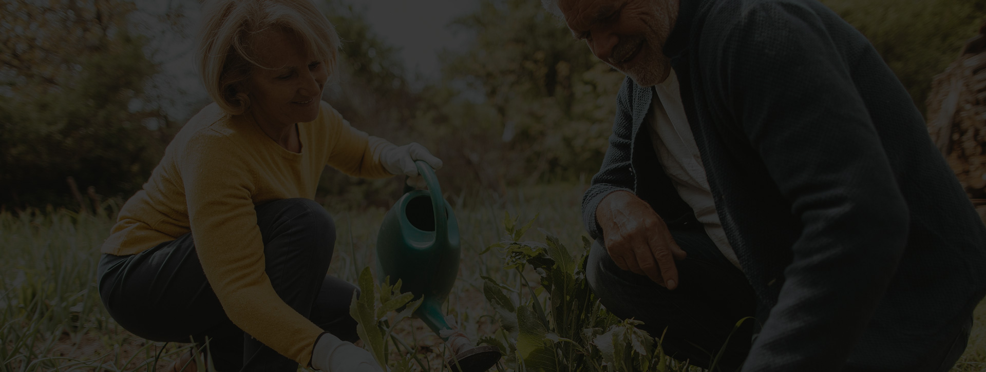 Header Classic Agriculture Website