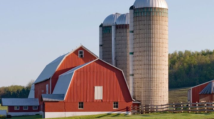 Farming Project Portfolio