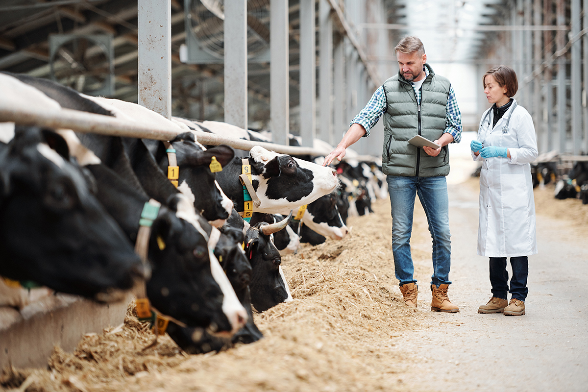 Agriculture Blog Top Image Layout