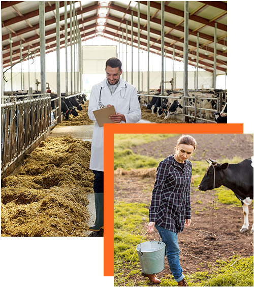 Agriculture Services Page