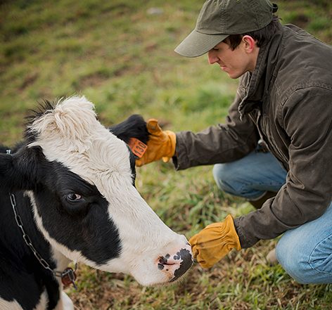 FAQ Agritek Agriculture