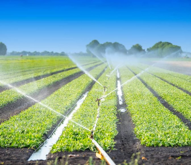 Agriculture Blog Page