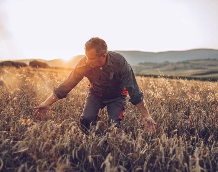 Agriculture Projects