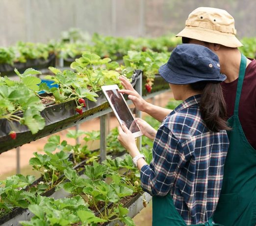 Agriculture FAQ