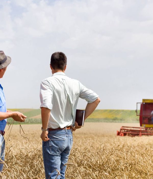 Agriculture Service Solutions