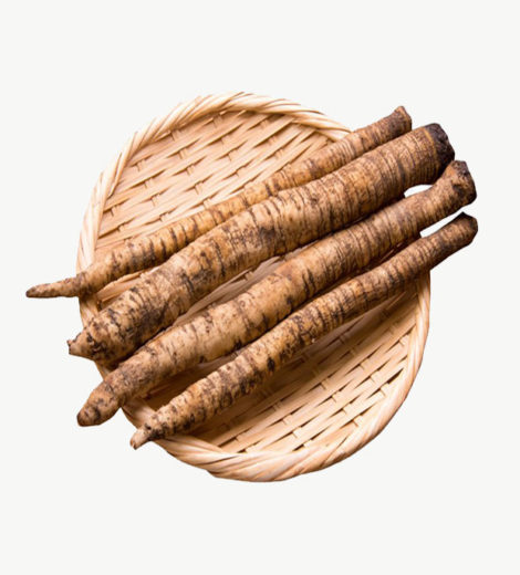 Beardrock Root